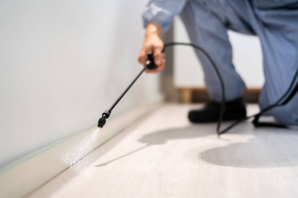 Licensed Cockroach Control service in Clifton, AZ - Nex Pest Control